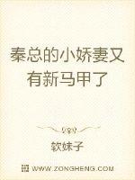 秦总的男妻又有了小说_秦总的小娇妻又有新马甲了