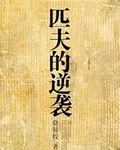 男主女主是刘汉东,刘汉,马凌的小说是什么_匹夫的逆袭