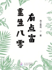 男主女主是叶宁,陈志刚,叶姐的小说是什么_重生八零有点富
