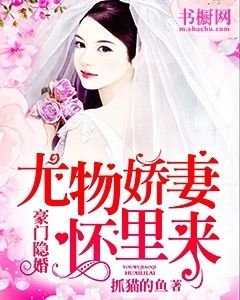 豪门隐婚尤物娇妻到怀里来_豪门隐婚：尤物娇妻怀里来