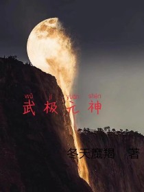 小说《武极元神》TXT下载_武极元神