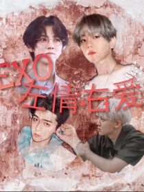 exo 左右声道_EXO：左情右爱