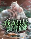 小说《全员迪化：我真只是一颗白菜》TXT下载_全员迪化：我真只是一颗白菜