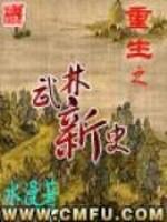 男主女主是丘平,李丘平,宫琳琅的小说是什么_重生之武林新史