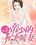 男主女主是安筱初,秦子昂,安筱的小说是什么_一战成婚：帝少的私宠暖妻
