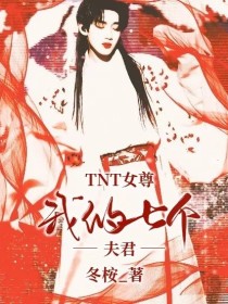 小说《TNT女尊：我的七个夫君》TXT下载_TNT女尊：我的七个夫君