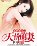 小说《盛世婚宠之天价萌妻》TXT百度云_盛世婚宠之天价萌妻