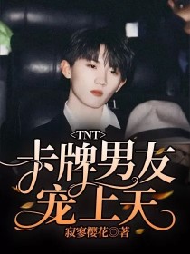 小说《TNT：卡牌男友宠上天》TXT下载_TNT：卡牌男友宠上天