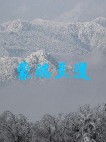 主角是至道的鸿蒙小说_蒙鸿至道