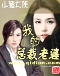 男主女主是徐遥,姚舒嘉,许欣妍的小说是什么_我的总裁老婆