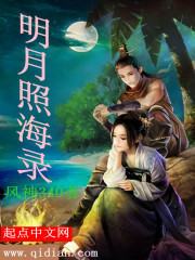 男主女主是赵基平,乔杜里,艾伯特的小说是什么_明月照海录