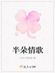 男主女主是姚晓凡,陆耀辉,林以安的小说是什么_半朵情歌