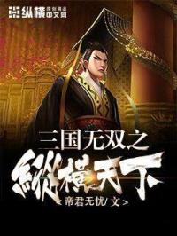 小说《三国无双之纵横天下》TXT下载_三国无双之纵横天下