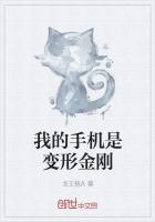 变形金刚手册人类的手_我的手机是变形金刚