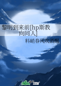 小说《黎明到来前[hp斯教向同人]》TXT百度云_黎明到来前[hp斯教向同人]