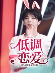 小说《华晨宇：低调恋爱》TXT百度云_华晨宇：低调恋爱