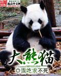 熊猫小说大全_大熊猫