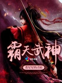 叶华罗兰《霸天武神》_霸天武神