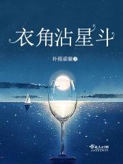 小说《衣角沾星斗》TXT百度云_衣角沾星斗