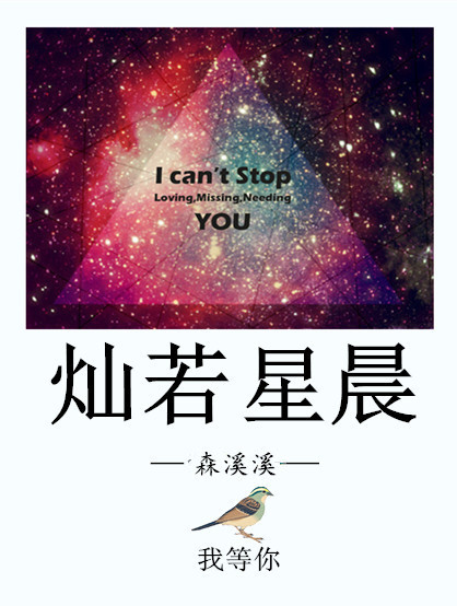 小说《灿若星晨》TXT下载_灿若星晨