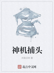 男主女主是小刘,萧萍,陈璐的小说是什么_神机捕头