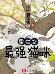小说《重生之最强猫咪》TXT百度云_重生之最强猫咪