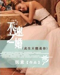 男主女主是容铮,若薇,陆若薇的小说是什么_不速之婚