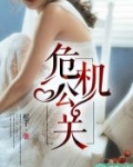 男主女主是吴佩欣,刘琳文,吴越的小说是什么_危机公关