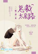 男主女主是傅清宁,言钰宸,杨子怀的小说是什么_二婚袭来：总裁太套路