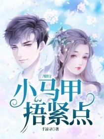 小说《媳妇，小马甲捂紧点》TXT百度云_媳妇，小马甲捂紧点