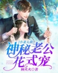 小说《小妻太甜：神秘老公花式宠》TXT下载_神秘老公花式宠