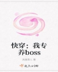 男主女主是陆娴,温如岚,陆晨的小说是什么_快穿：我专养boss