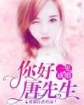 男主女主是唐朴兴,叶琳琅,纪月的小说是什么_一见成婚：你好，唐先生