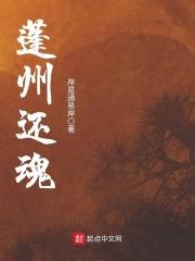男主女主是朱友康,老朱,何海云的小说是什么_蓬州还魂