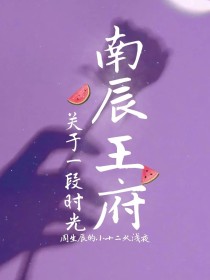 男主女主是南辰,王军,晓誉的小说是什么_南辰王府传