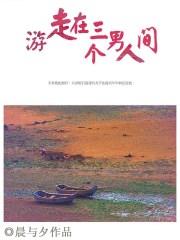 男主女主是刘东衡,李恪,沈渔的小说是什么_游走在三个男人间