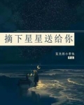 男主女主是林羽,向朋,杨毅之的小说是什么_摘下星星送给你