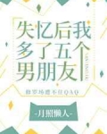 小说《失忆后我多了五个男朋友》TXT下载_失忆后我多了五个男朋友