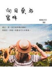 男主女主是凌宸,何炜,王思佳的小说是什么_向日葵与蜜蜂