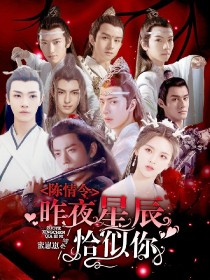 陈情令：昨夜星辰恰似你_陈情令：昨夜星辰恰似你