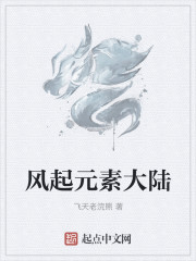 男主女主是陈世贤,郑浩,老王的小说是什么_风起元素大陆