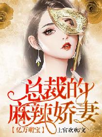 男主女主是江景,赵远枫,赵清月的小说是什么_亿万萌宝：总裁的麻辣娇妻