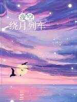 男主女主是陈纪锋,卫意,赵英博的小说是什么_夜空绕月列车