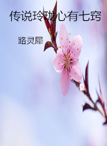 男主女主是颜昭君,艾傅,刘文杰的小说是什么_传说玲珑心有七窍