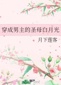 男主女主是陆家逸,张晓福,林熙晨的小说是什么_穿成男主的圣母白月光