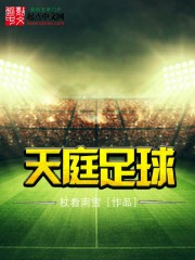 小说《天庭足球》TXT百度云_天庭足球
