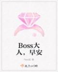 男主女主是林予宁,程怀南,李斌的小说是什么_Boss大人，早安