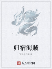 男主女主是叶枫,卢婷,刘焱的小说是什么_归宿海贼