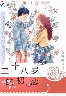 男主女主是简宁,陆康琛,夏唯的小说是什么_二十八岁的初恋