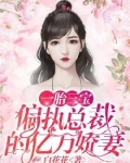 小说一胎三宝总裁的千亿前妻_一胎三宝：偏执总裁的亿万娇妻